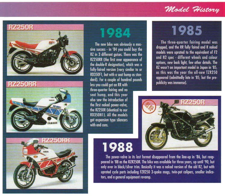 RZ250 STORY